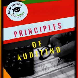 Principles of Auditing